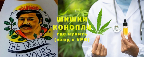 молекула духа Гусев